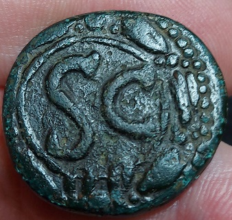 Another-SC-Reverse-I-Need-Help-Identifying-Please.