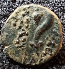 Identification-Help-Please.