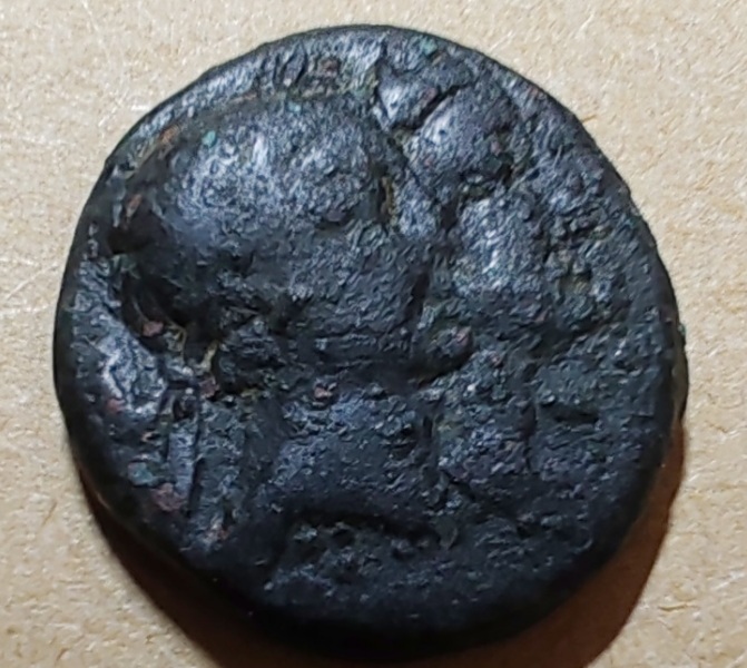 ID-Help-Please.-Lost-Label.