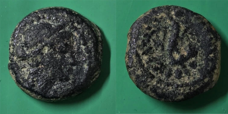 A-Little-Help-With-Identification-Please.