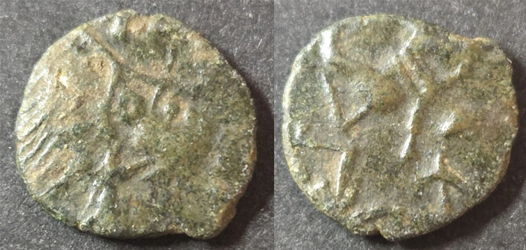 Help-With-Identification-Please.