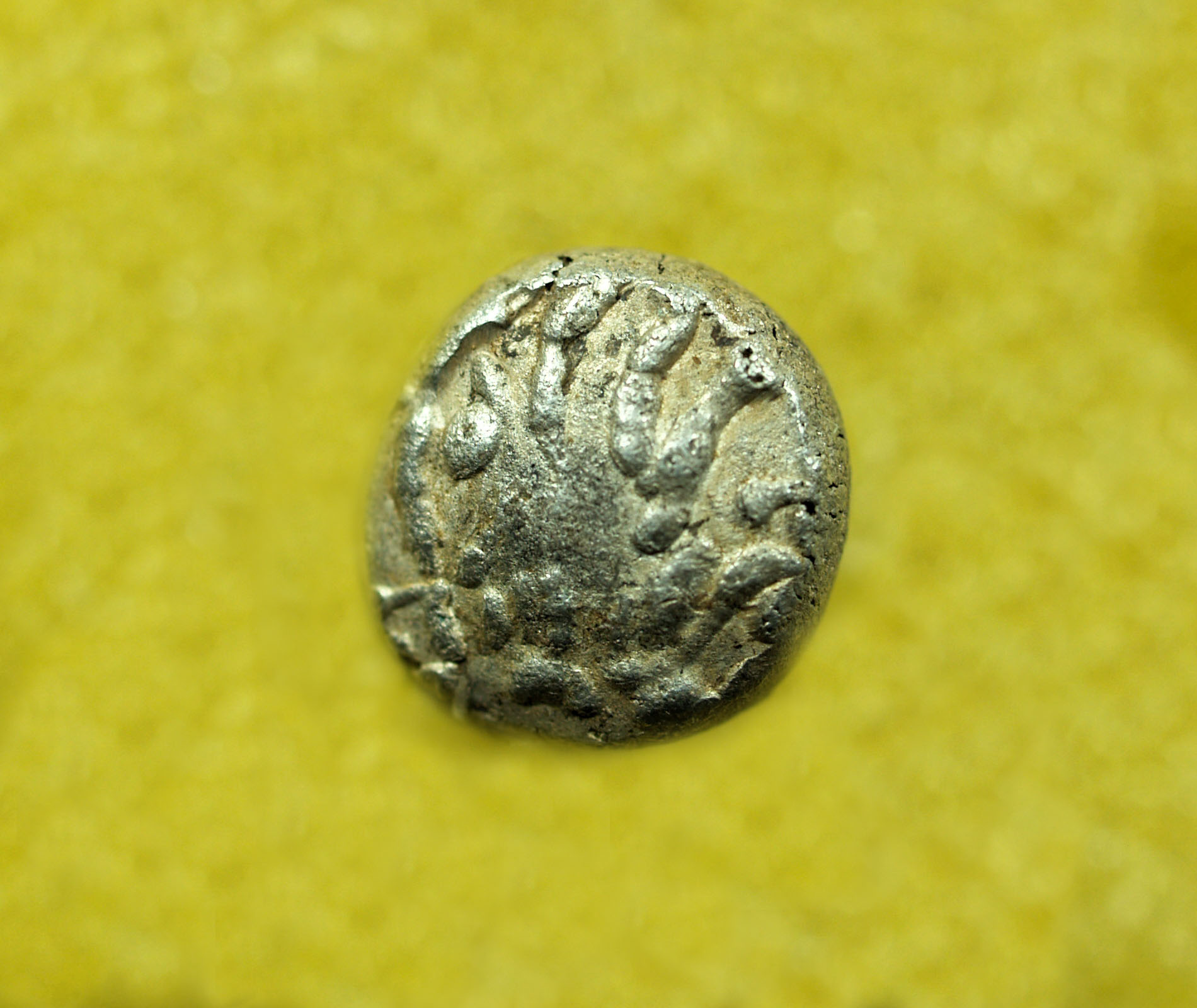 Identifying-Ancient-Greek-Coins-#20