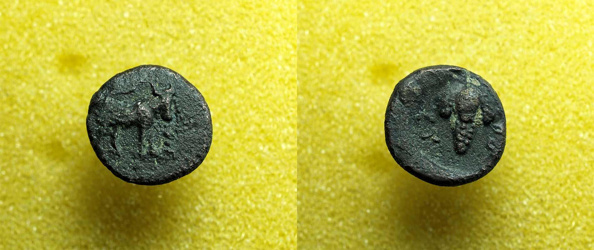 Identifying-Ancient-Greek-Coins-#26