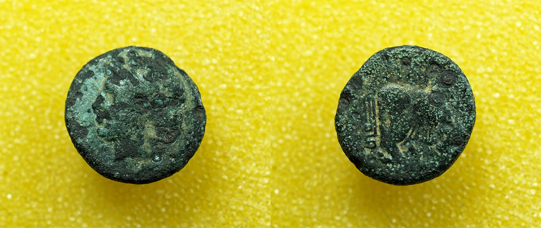 Identifying-Ancient-Greek-Coins-#31