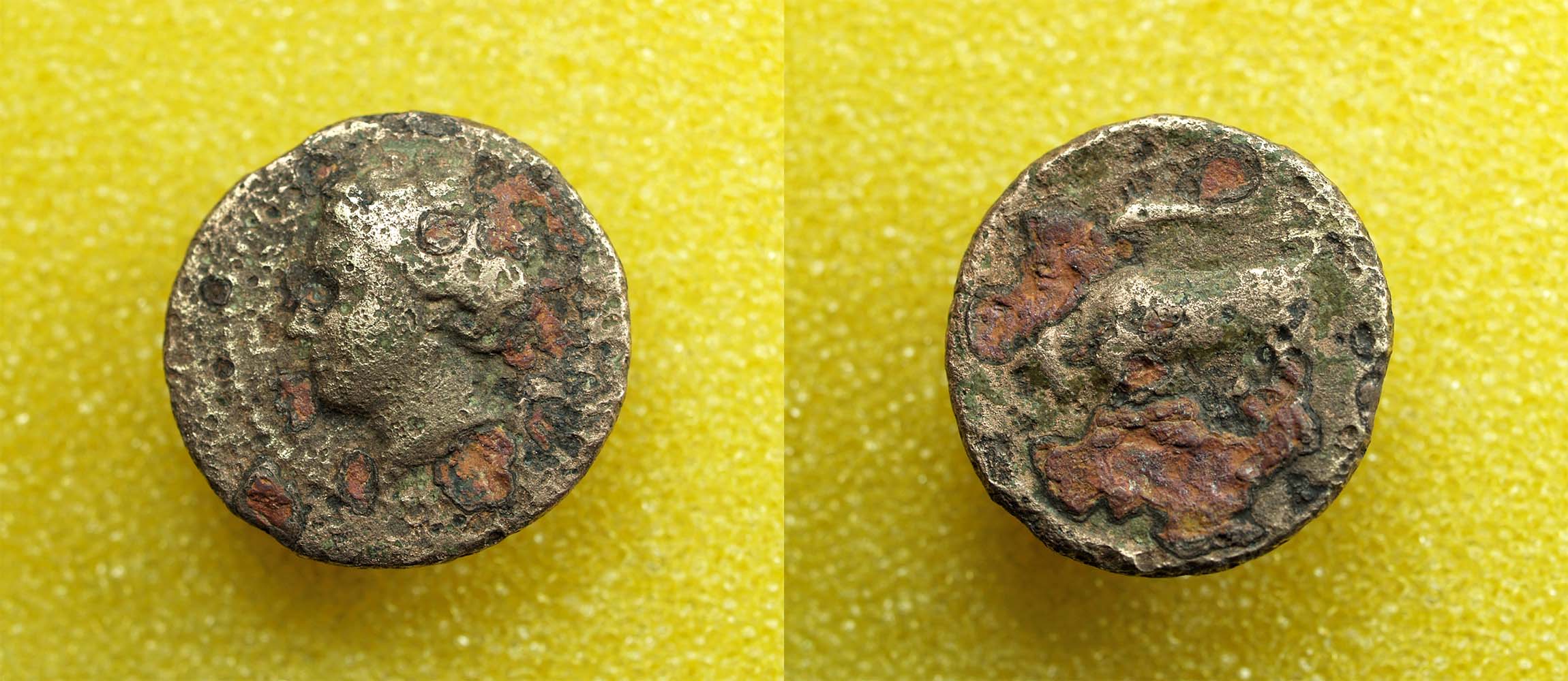 Identifying-Ancient-Greek-Coins-#40