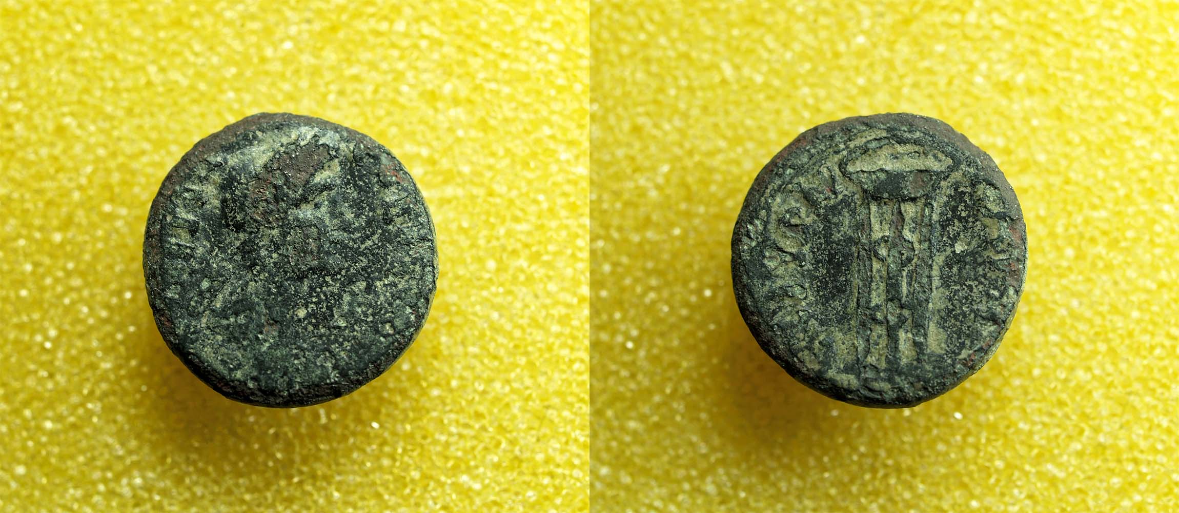 Identifying-Ancient-Greek-And-Roman-Coins-#42