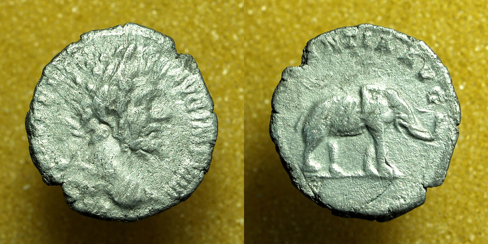 Roman-Coin-To-Identify-#106---Denarius-Elephant
