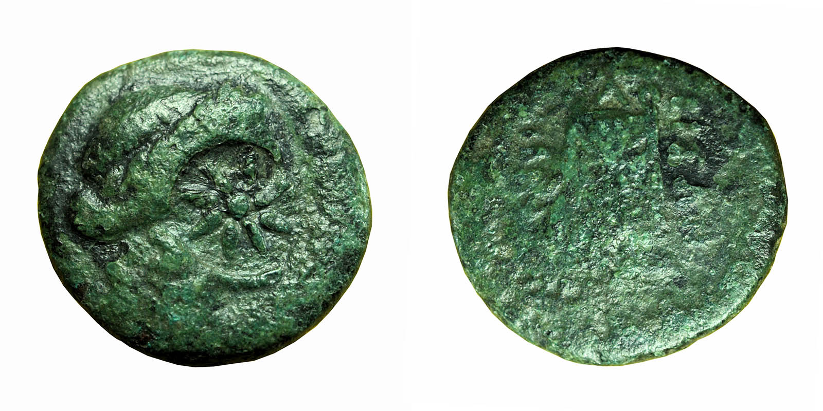 Bisanthe---Apollo-&-Tripod-+-Dionysos-&-Grape-Bunch