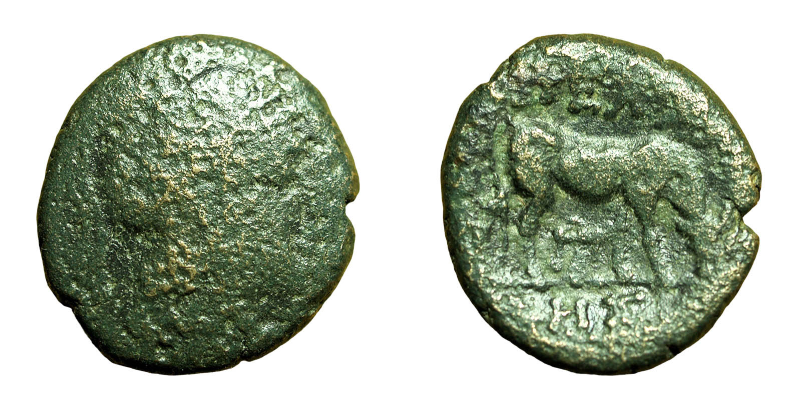 Ancient-Greek-Coin-To-Identify-With-Ox