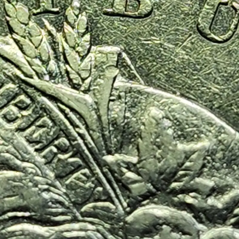 1878-CC-Morgan-For-Grading-And-VAM-27-?