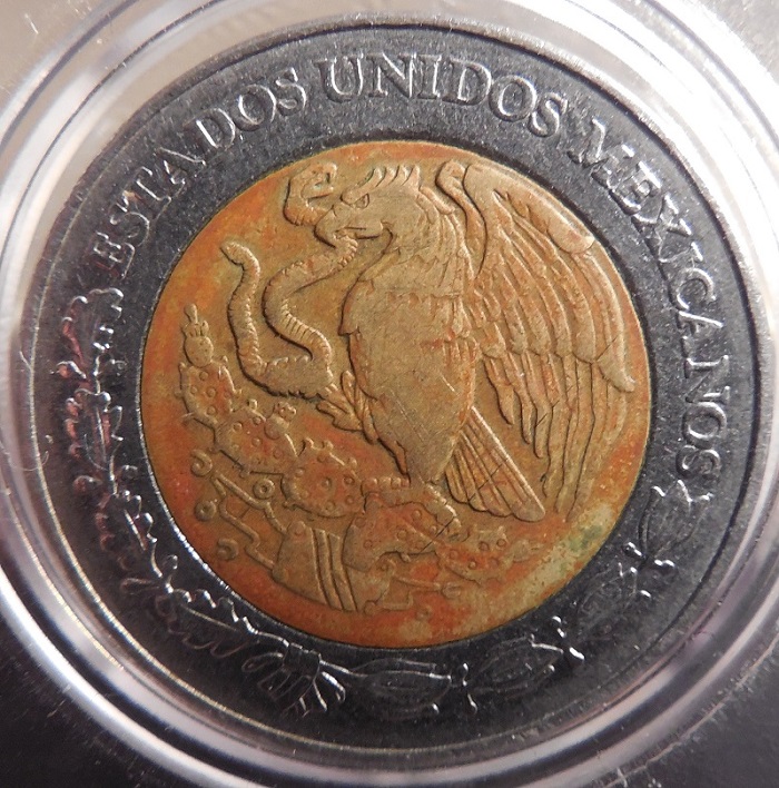 Post-Your-Coins-Representing-The-Animal-Kingdom.