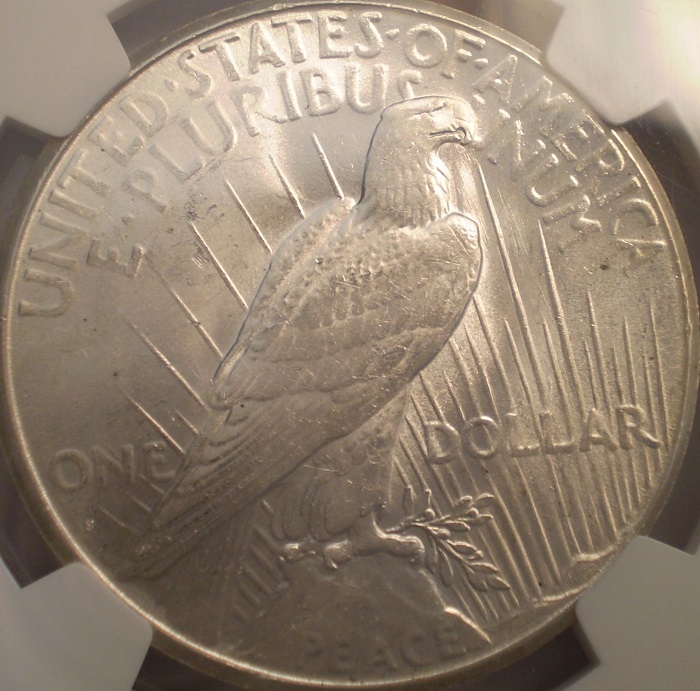 10-Days-Of-Peace-Dollars!