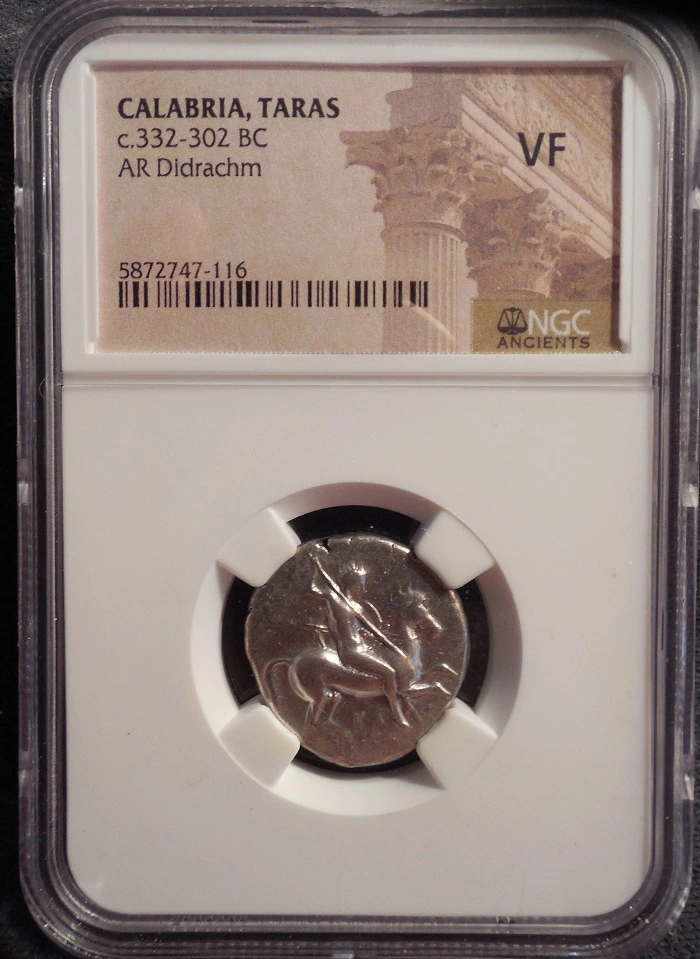 Post-Your-Coins-With-Horses