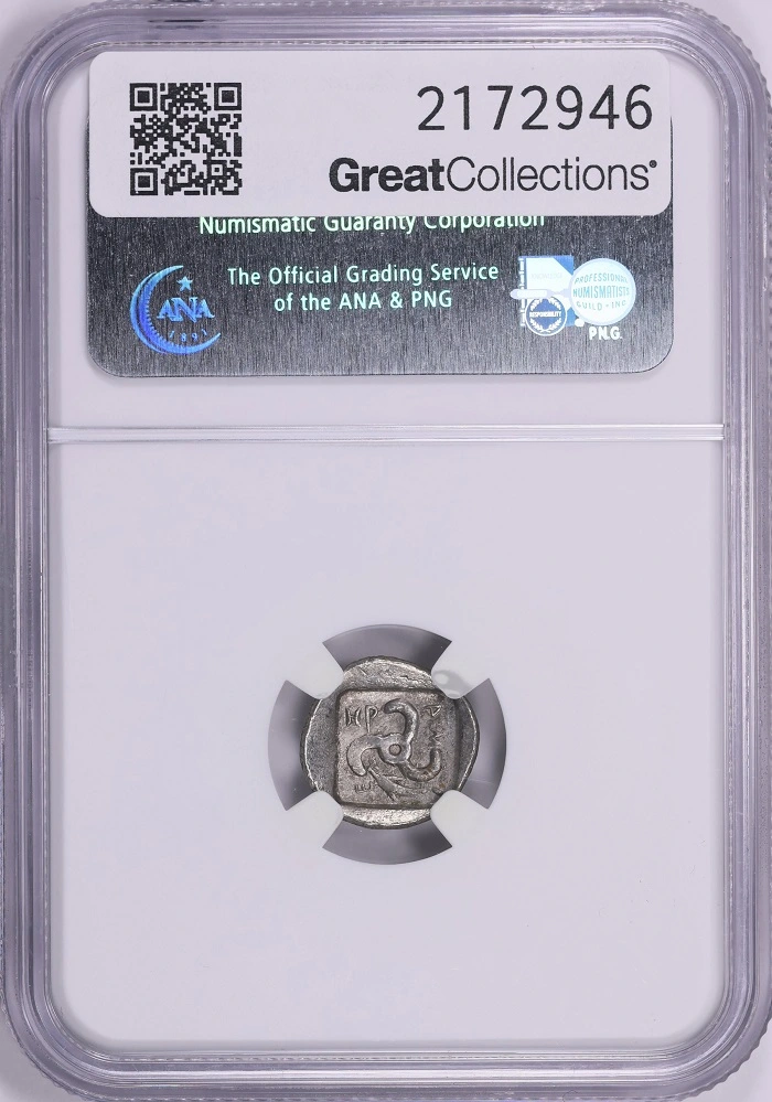 Continuing-List-To-Show-Everyones-Latest-Acquisitions