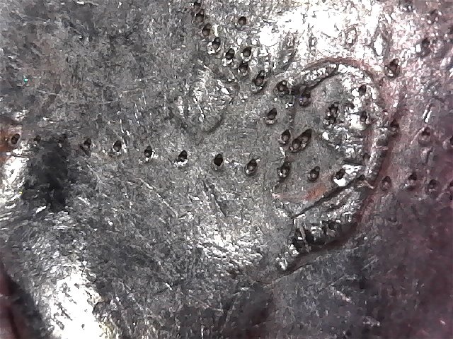 Bicentennial-D--Half-Dollar-With-A-Lot-Of-Little-Marks-PMD?