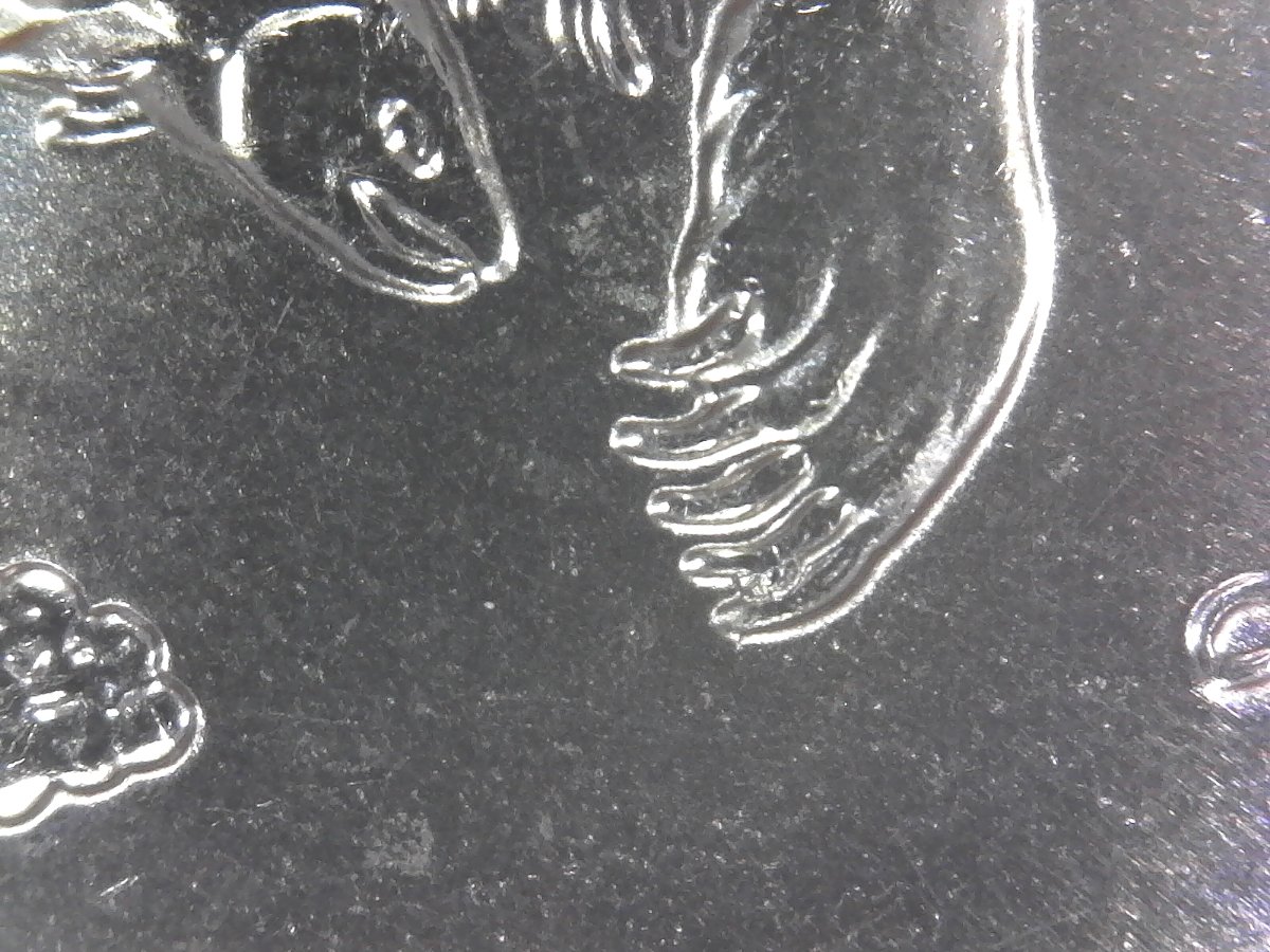 2008-D-Alaska-Quarter-Possible-Extra-Claw?