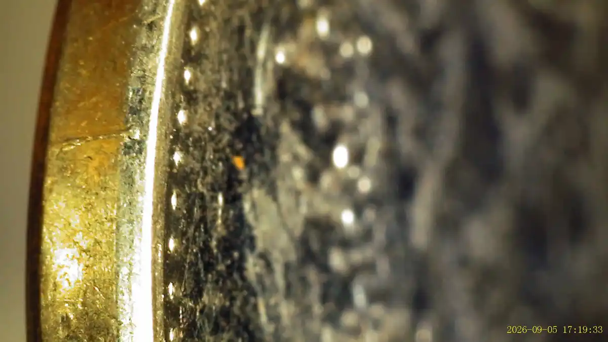 1965-Canadian-Nickel-Collar-Cracks/Wide-Collar?