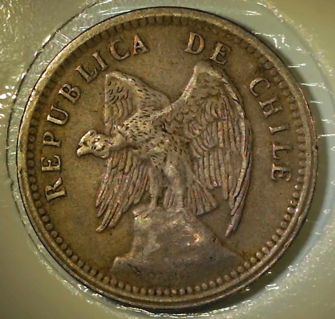 Post-Your-Bird-Coins