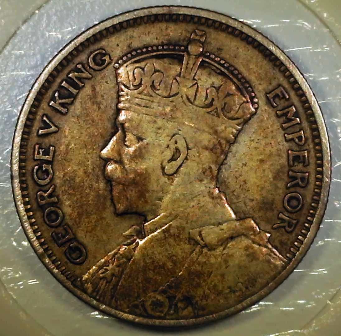 Post-Your-Bird-Coins