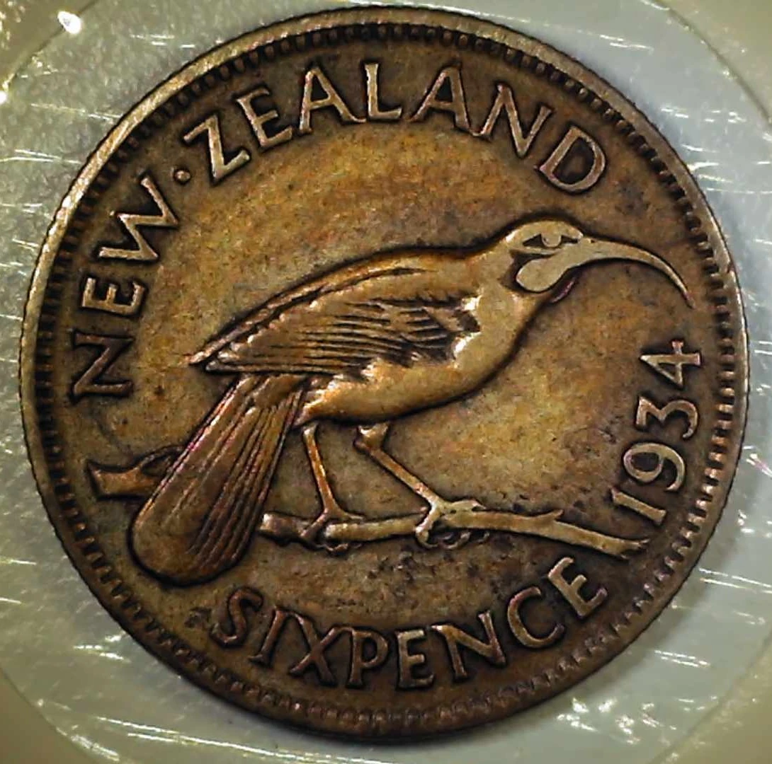 Post-Your-Bird-Coins