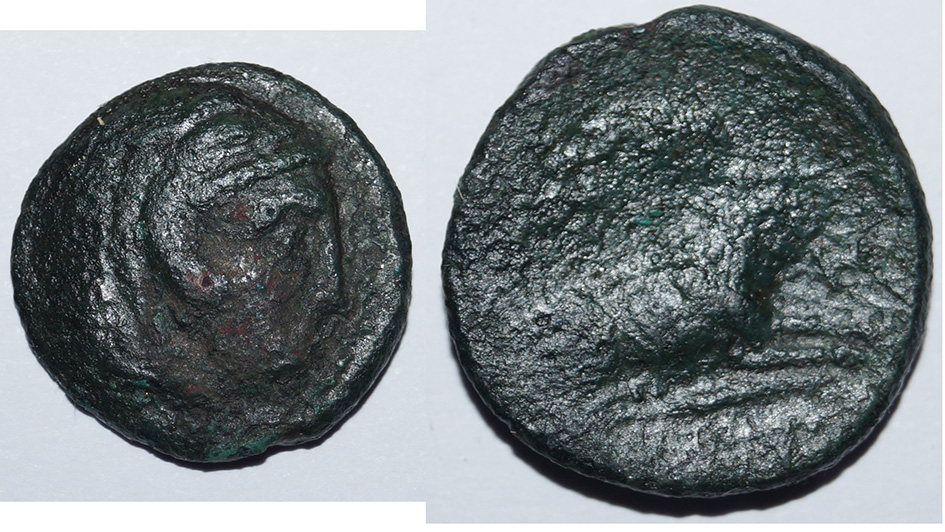 Ancient-Coins-Need-Help-For-Identification