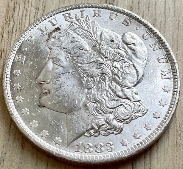 1883-O-Morgan-Black-Spots.-Toning-Or-Something-Else?