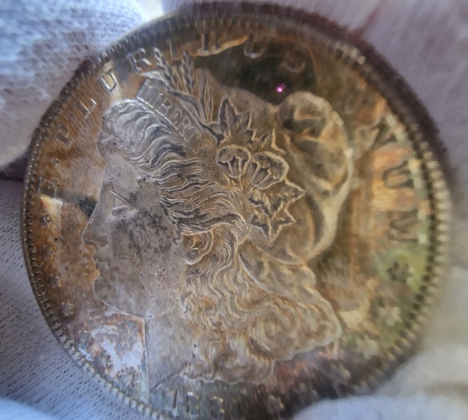 1881-S-Morgan-For-Your-Grading