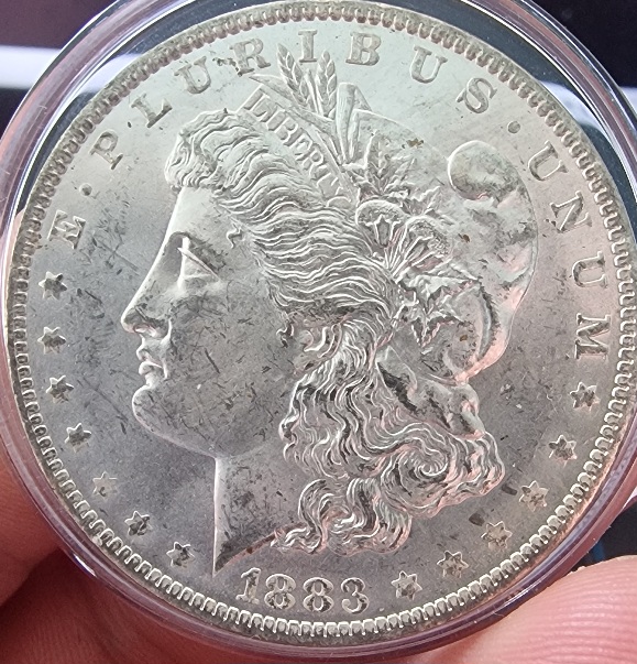 1883-O-Morgan-For-Grading