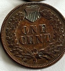 Does-This-Indian-Head-1889-Look-Polished?