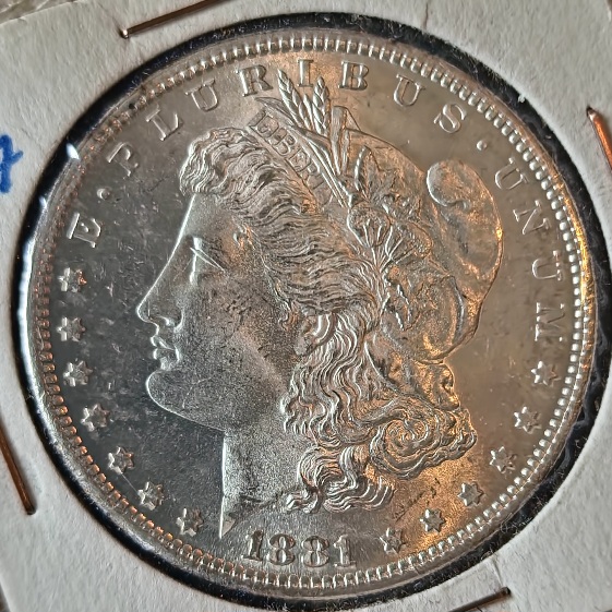 1881-S-Morgan-Dollar-Honing-Grading-Skills