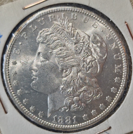1881-S-Morgan-Dollar-Honing-Grading-Skills
