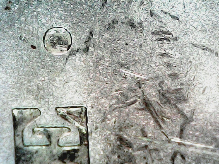 Morgan-Dollars-1883-O-So-Many-Errors-Is-This-Die-Detoriation-Or-Clashing