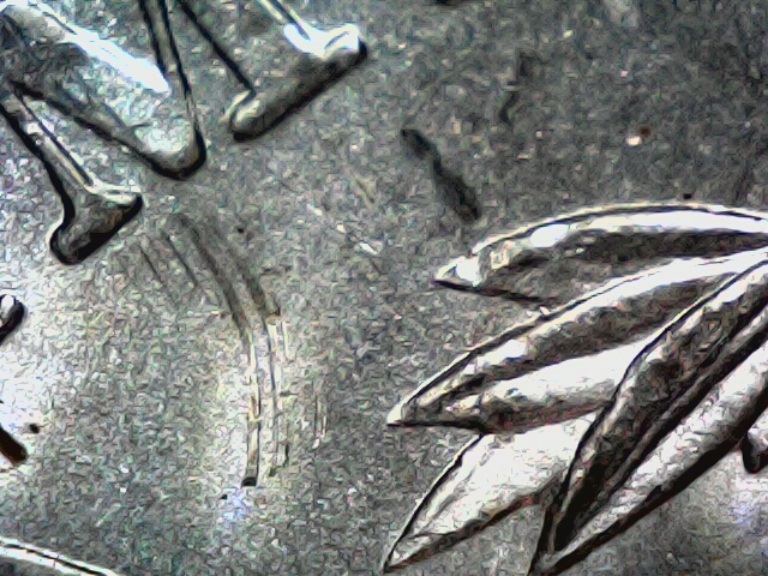 Morgan-Dollars-1883-O-So-Many-Errors-Is-This-Die-Detoriation-Or-Clashing