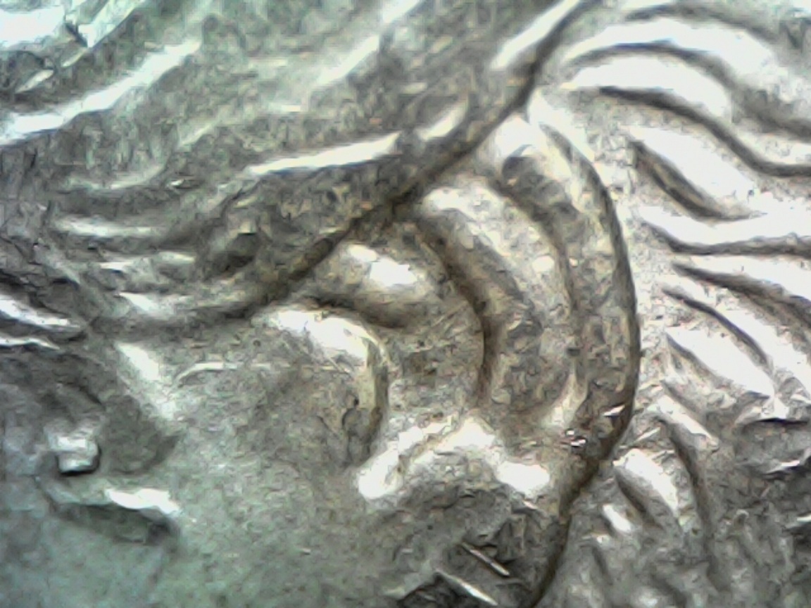Morgan-1900-P-Photodubling-Or-Double-Wing-And-Wheat?