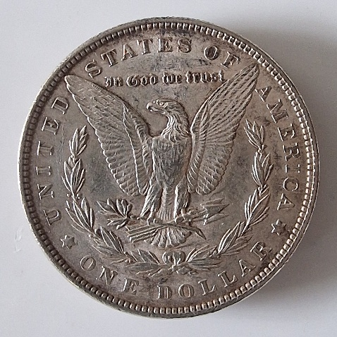Coin-Dipping-Question-Morgan-Would-This-Reverse-Respond-Well-To-Dipping-1881-S
