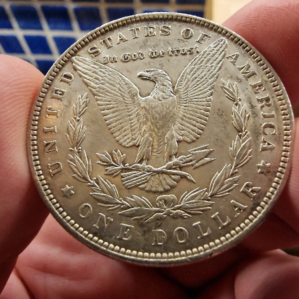 Coin-Dipping-Question-Morgan-Would-This-Reverse-Respond-Well-To-Dipping-1881-S