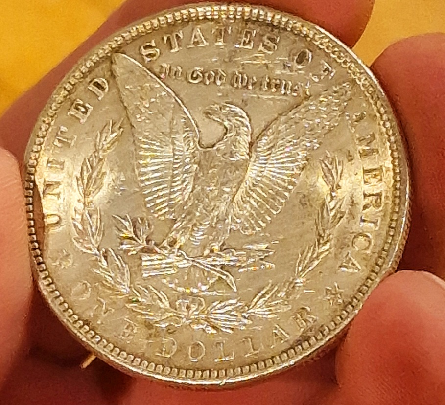 Coin-Dipping-Question-Morgan-Would-This-Reverse-Respond-Well-To-Dipping-1881-S