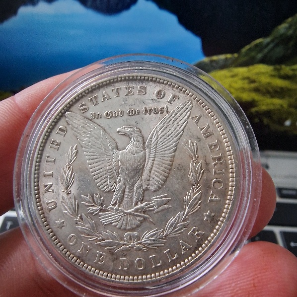 Coin-Dipping-Question-Morgan-Would-This-Reverse-Respond-Well-To-Dipping-1881-S