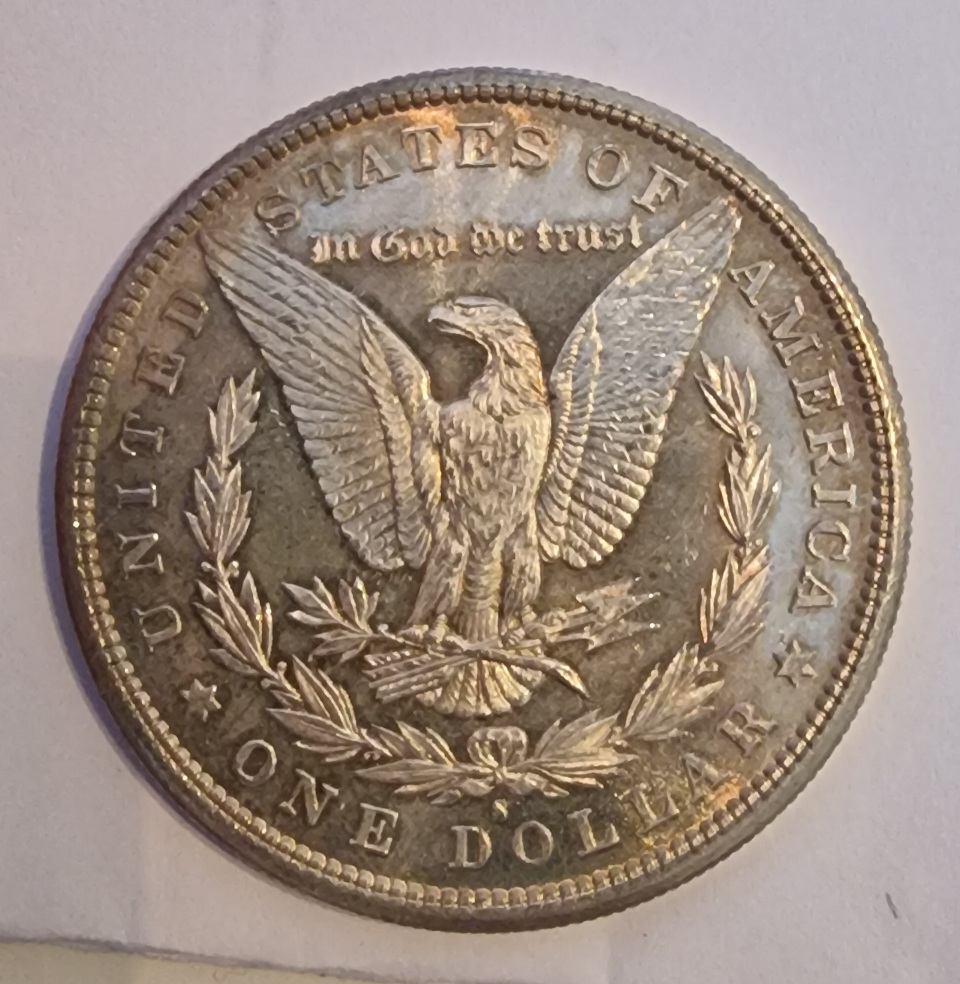 Coin-Dipping-Question-Morgan-Would-This-Reverse-Respond-Well-To-Dipping-1881-S