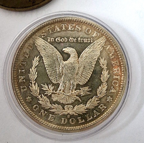 Coin-Dipping-Question-Morgan-Would-This-Reverse-Respond-Well-To-Dipping-1881-S