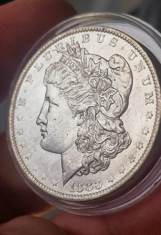 Morgan-Dollar-Striations