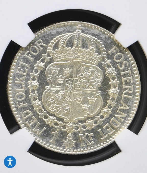 Education-Needed-Did-Patina-Prevent-Cam-Or-Proof-Like-Or-Are-The-Coins-Neither