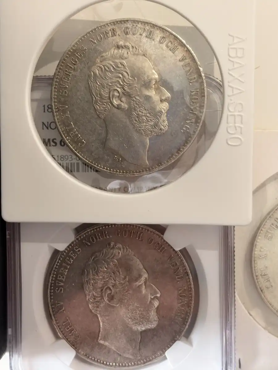 Continuing-List-To-Show-Everyones-Latest-Acquisitions