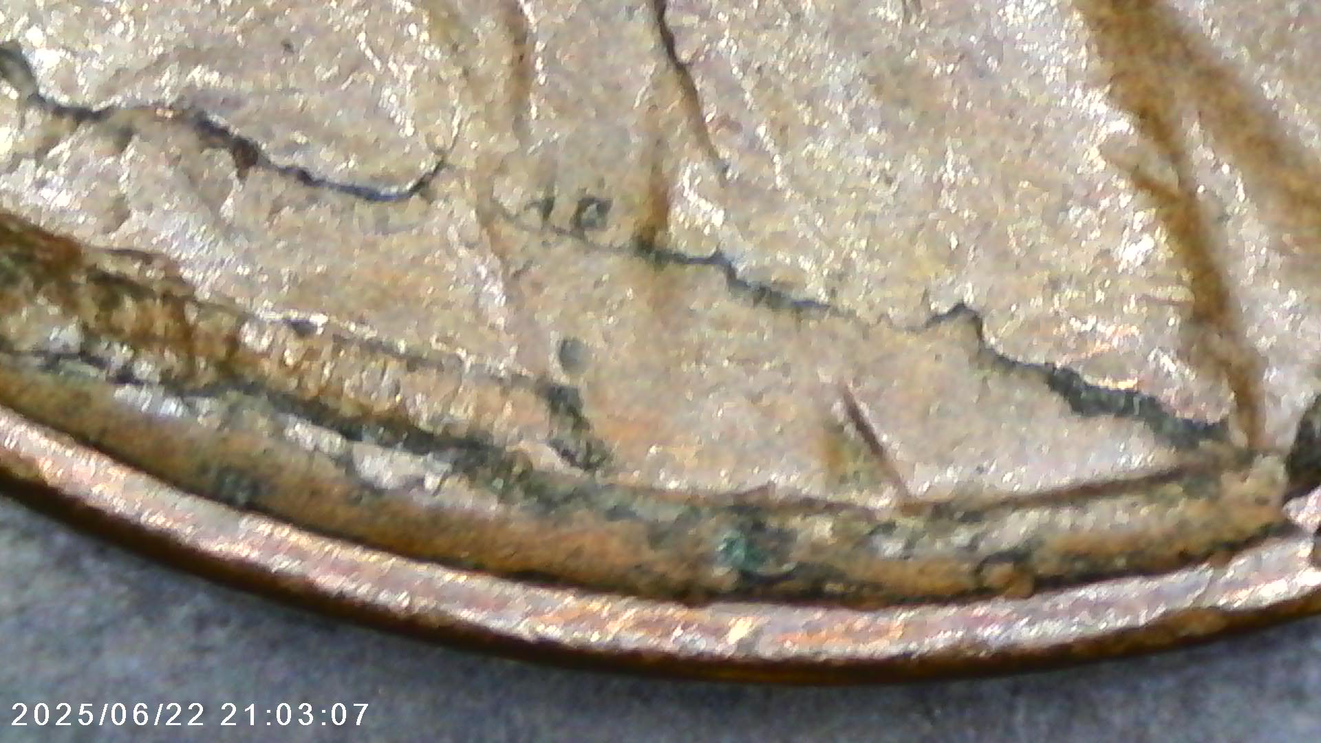 1938-P--1c-Wheat-Penny---Error-Check---Struck-Through?