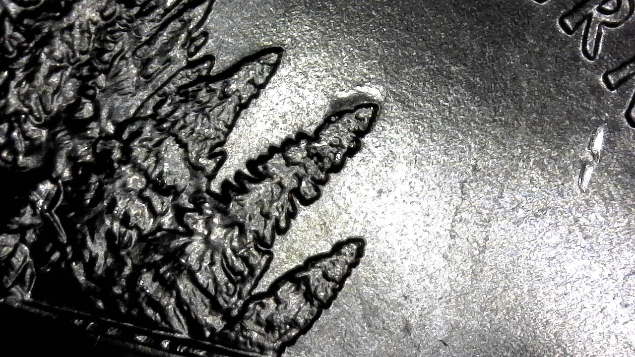 2019-P-25c-Idaho-Die-Chip-Question