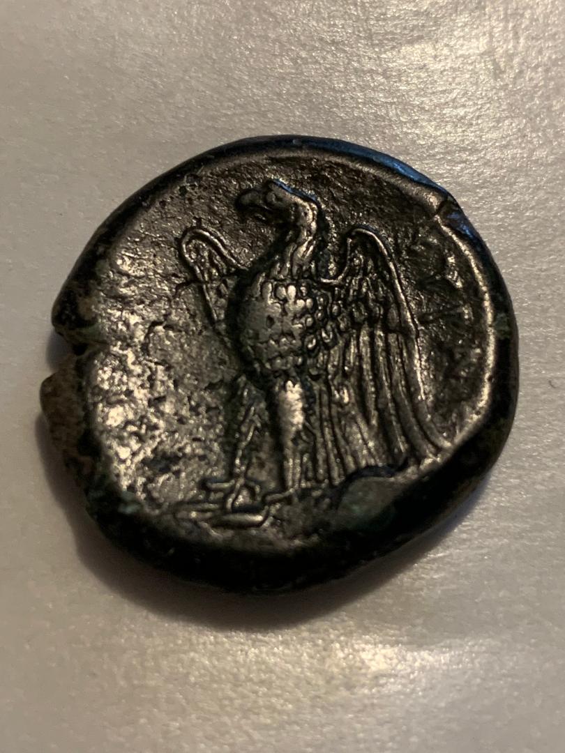 Ancient-Sicily---Syracuse-Hiketas-II-10.5gr