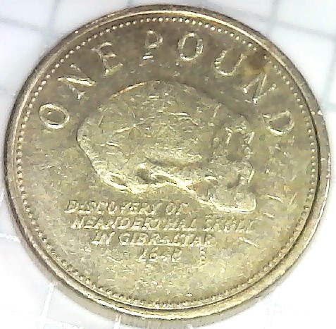 Post-Your-Coins-Representing-The-Animal-Kingdom.