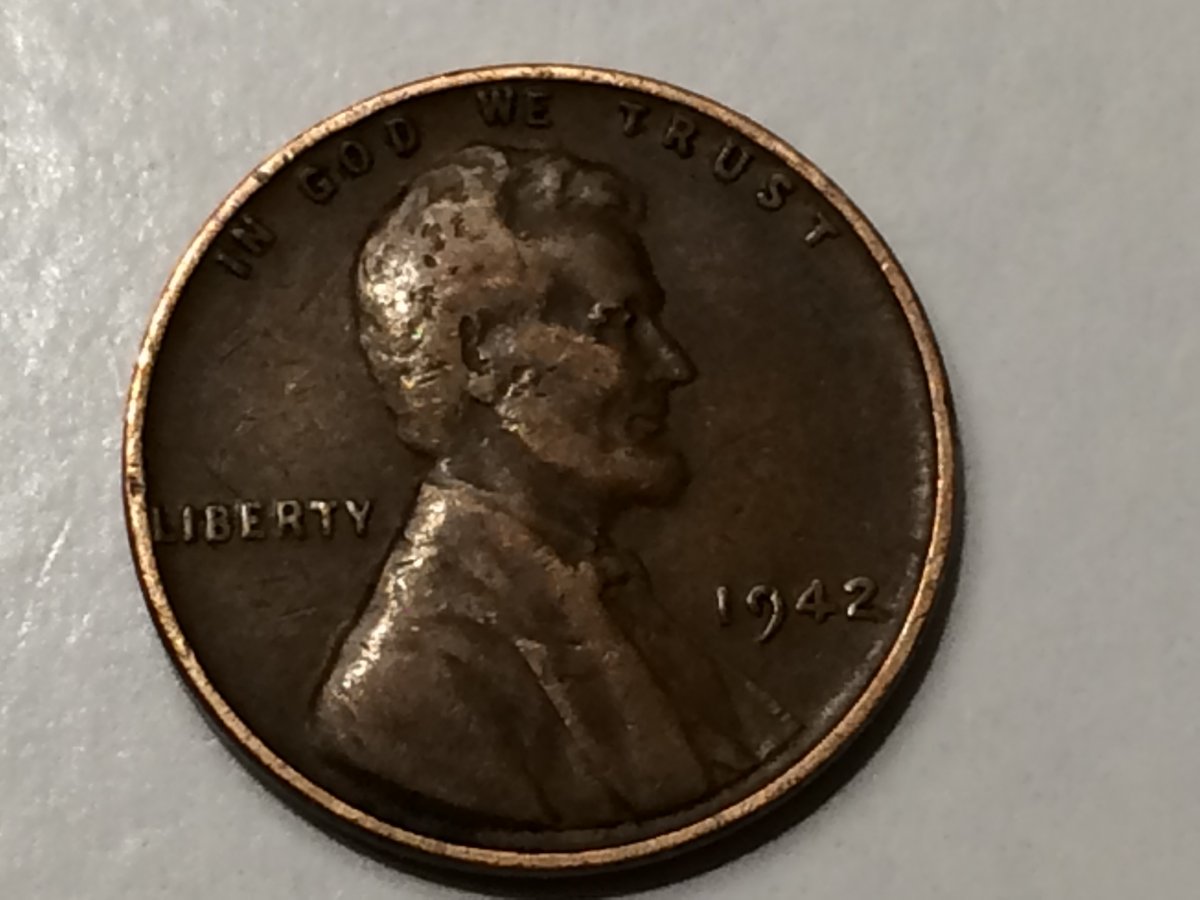 Coins-Found-In-The-Wild-Today:
