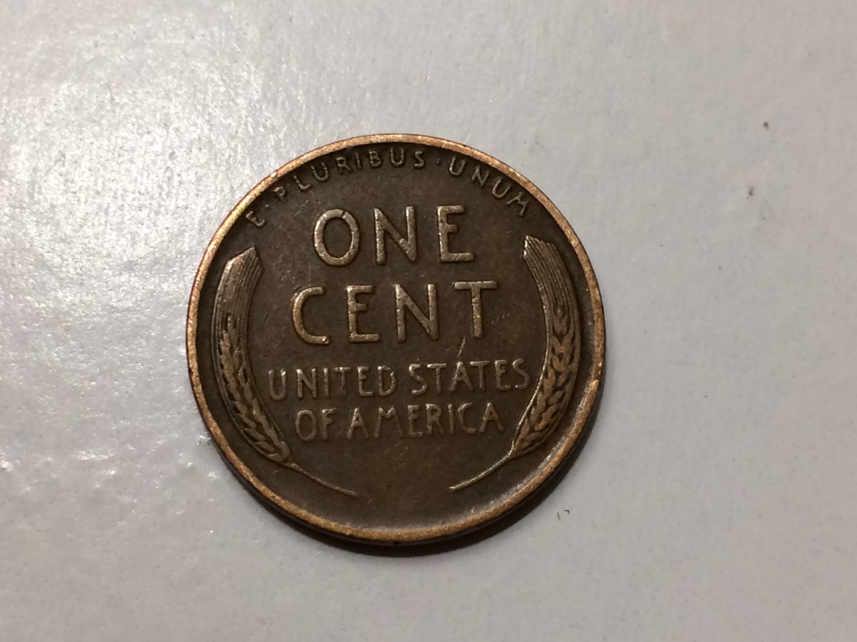 Coins-Found-In-The-Wild-Today: