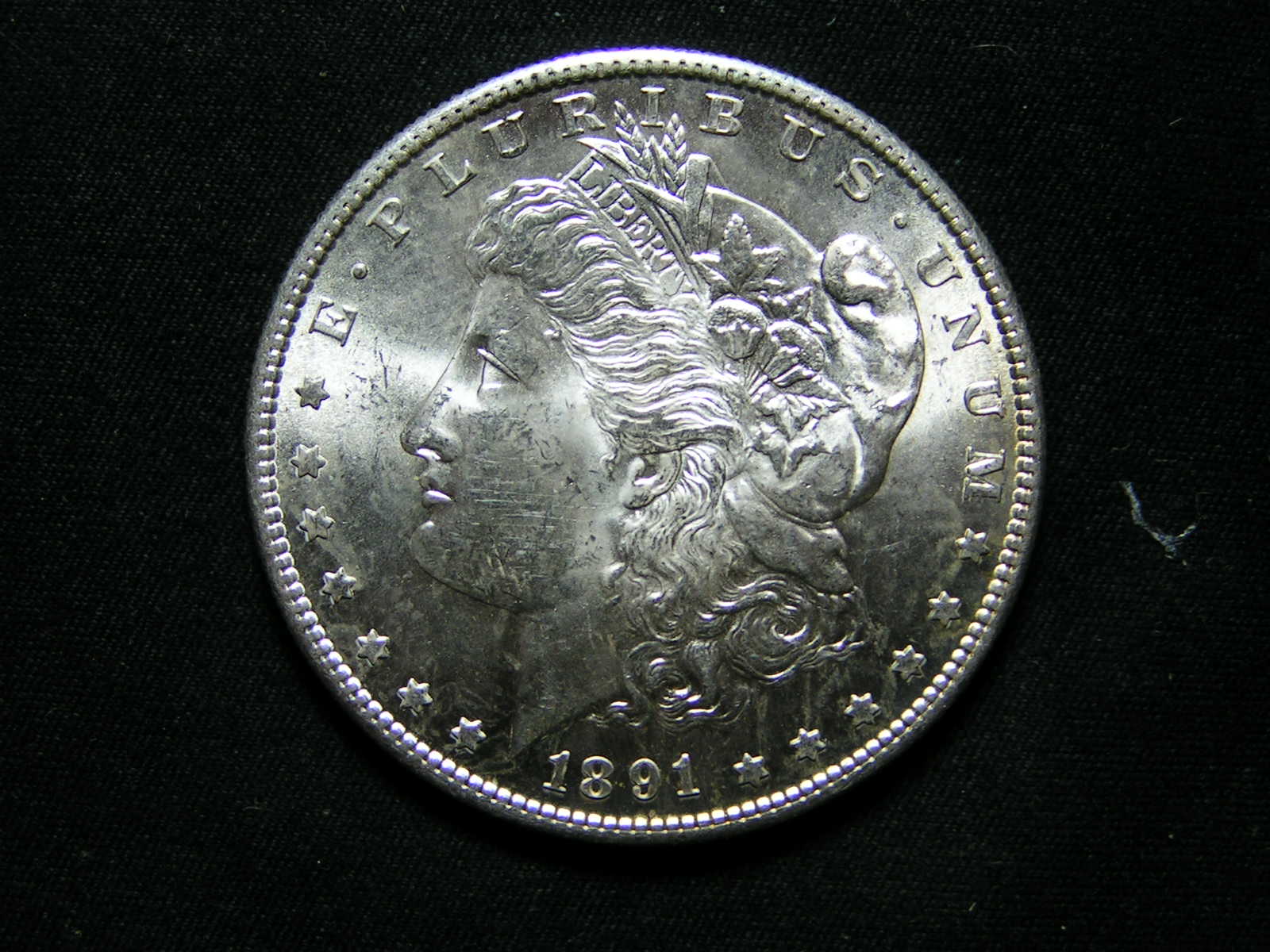 1891-S-Morgan-Dollar-For-Grade-#5